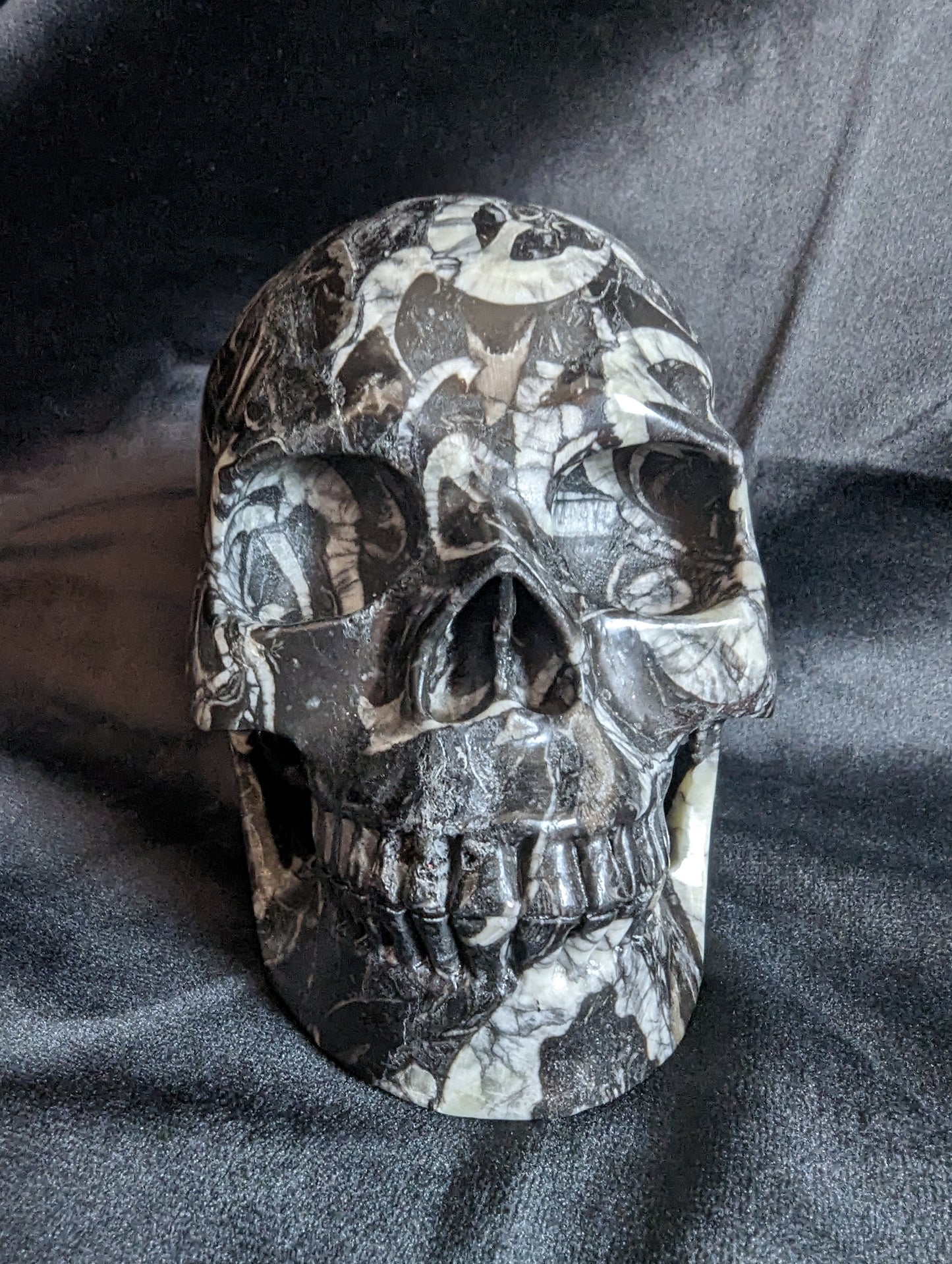 Orthoceras Fossil Skull Carving