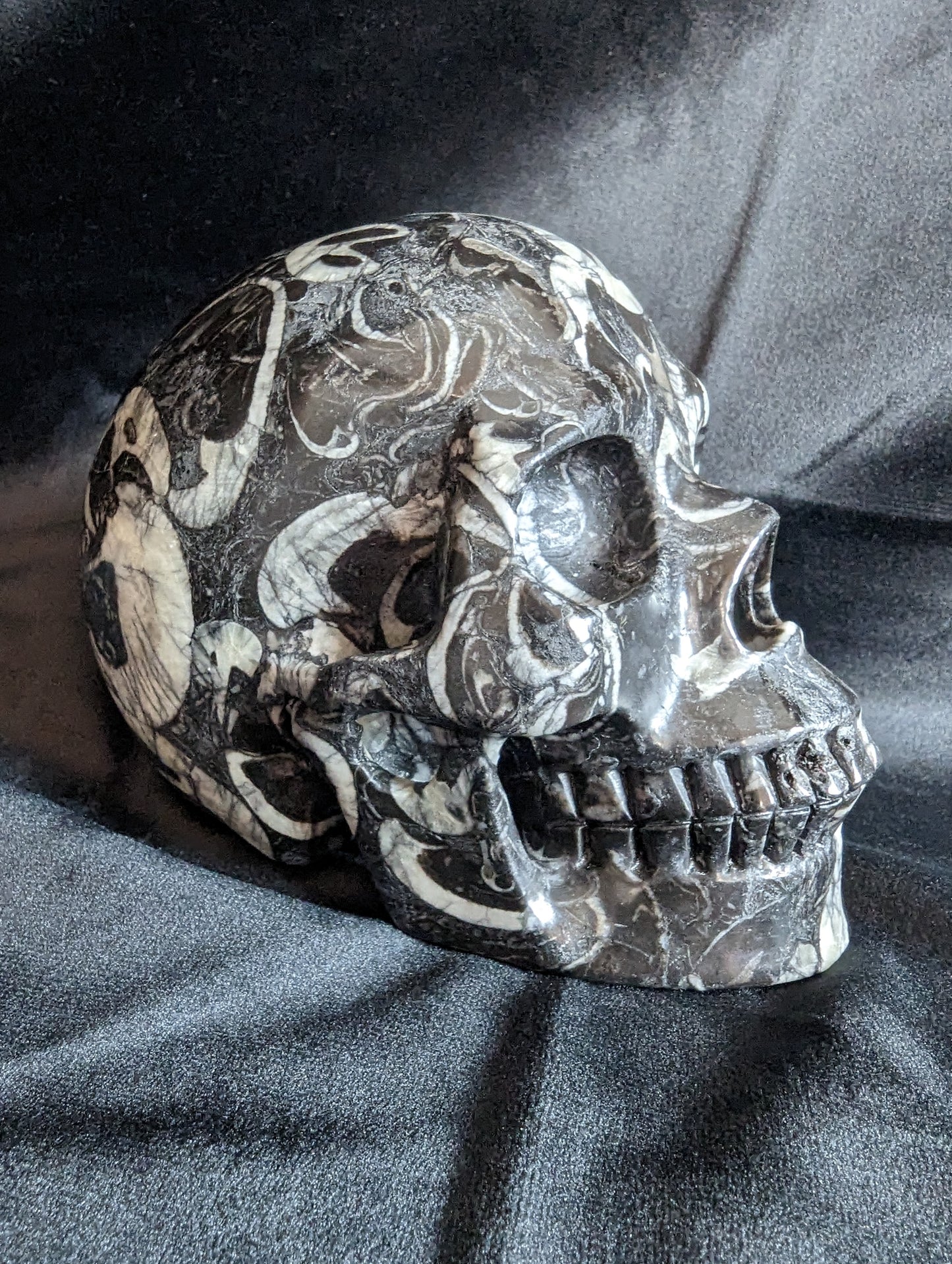 Orthoceras Fossil Skull Carving